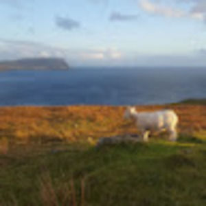 Meet your Posher, Alexander